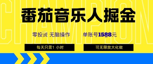 番茄音乐人掘金，单账号最高可撸1k+，可无限矩阵去做，零投入-DE云网创