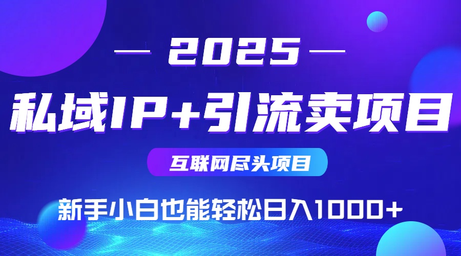 （14613期）私域IP+卖项目，普通人小白也能轻松实现日入1000+-DE云网创