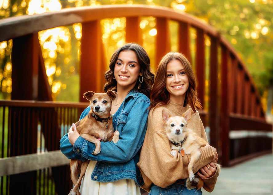 大师级GTG出品-老友记系列AI自适应预设The Friends Preset Collection插图3