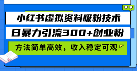 （13345期）小红书虚拟资料吸粉技术，日暴力引流300+创业粉，方法简单高效，收入稳...-DE云网创