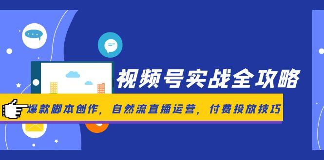 （14925期）视频号实战全攻略，爆款脚本创作，自然流直播运营，付费投放技巧-DE云网创