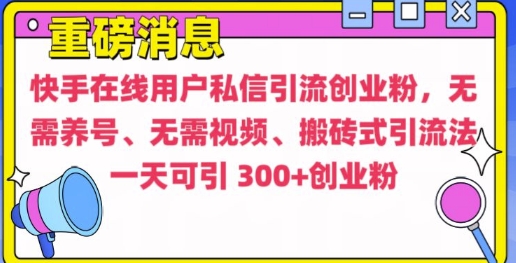 快手最新引流创业粉方法，无需养号、无需视频、搬砖式引流法【揭秘】-DE云网创
