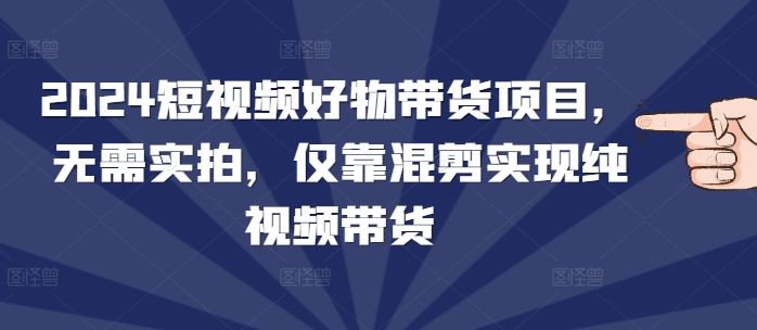 2024短视频好物带货项目，无需实拍，仅靠混剪实现纯视频带货-DE云网创