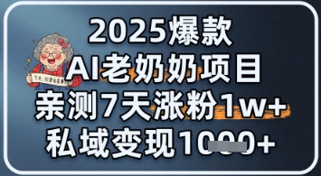 2025爆款 AI 老奶奶项目：亲测 7 天涨粉 1W+，私域变现 1k+-DE云网创