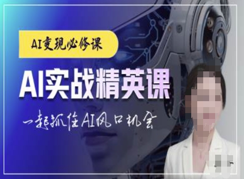 AI实战精英课，chatgptAI实战教程，一起抓住AI风口的机会-DE云网创