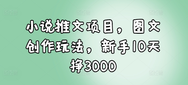 小说推文项目，图文创作玩法，新手10天挣3000-DE云网创