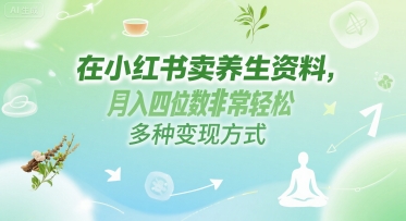 在小红书卖养生资料，月入四位数非常轻松，多种变现方式-DE云网创