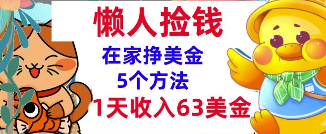 在家挣美金的5个方法，1天收入63美刀，内部教程，超简单，无脑操作-DE云网创