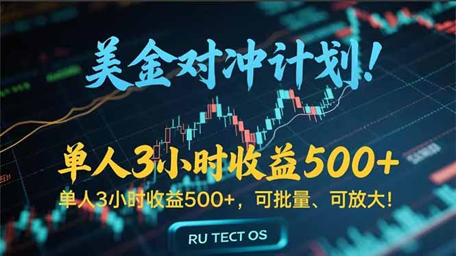 （15321期）长久稳定的撸美金项目，平均3小时收入 500+，可公司实地考察实地操作！-DE云网创