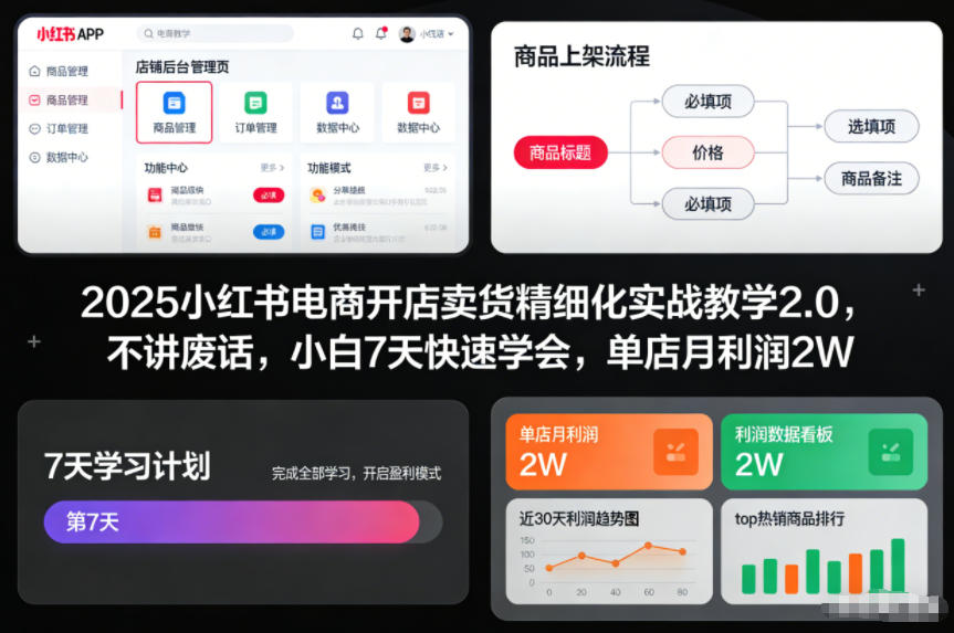 2025小红书电商开店卖货精细化实战教学2.0，不讲废话，小白7天快速学会，单店月利润2W-DE云网创
