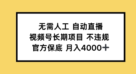 无需人工自动直播，视频号长期项目不违规，官方保底月入4000左右-DE云网创