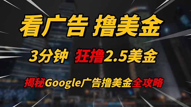 （14701期）看广告，撸美金！！3分钟赚2.5美金！！日入200美金不是梦！揭秘Google...-DE云网创