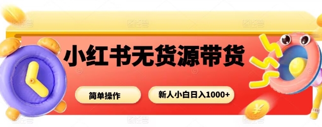 小红书无货源带货项目，简单无脑，新人小白日入多张-DE云网创