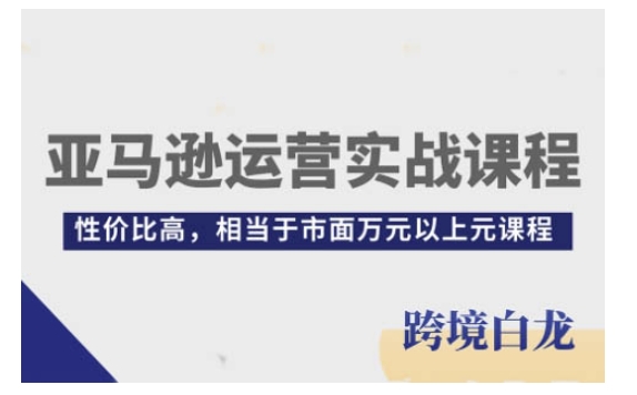 亚马逊运营实战课程，亚马逊从入门到精通，性价比高，相当于市面万元以上元课程-DE云网创