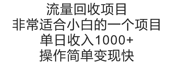 流量回收项目，非常适合小白的一个项目单日收入多张，操作简单变现快-DE云网创