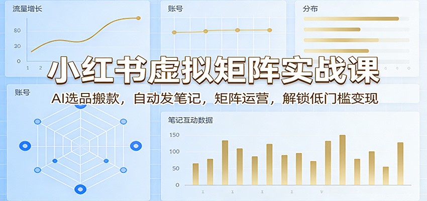 小红书虚拟矩阵实战课：AI选品搬款，自动发笔记，矩阵运营，解锁低门槛变现-DE云网创
