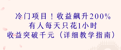 冷门项目！收益飙升200% 有人每天只花1小时 收益突破1k(详细教学指南)-DE云网创