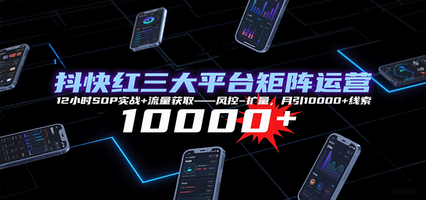 抖快红三大平台矩阵运营，12小时SOP实战+流量获取-风控-扩量，月引10000+线索-DE云网创