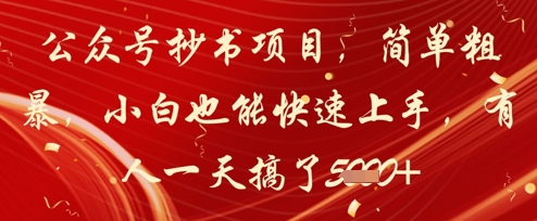 公众号抄书项目，简单粗暴，小白也能快速上手，有人一天搞了1k+-DE云网创