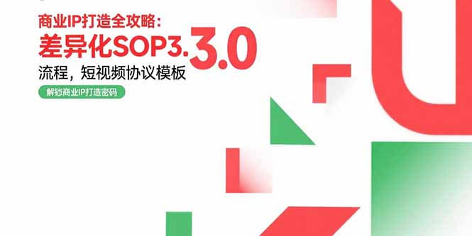 (15486期)商业IP打造全攻略:差异化SOP3.0流程,短视频协议模板,婚恋项目实战案例-DE云网创
