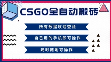 CSGO全自动搬砖，年底钱回家好项目，当天可拿到结果，新手小白轻松月入1W+【揭秘】-DE云网创