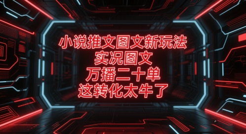 小说推文图文新玩法，实况图文，万播二十单，这转化太牛了！-DE云网创