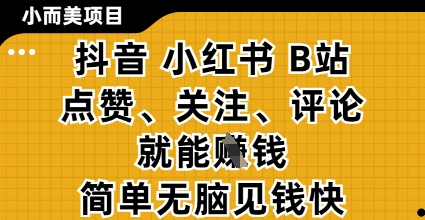 小而美的项目，抖音小红书B站视频点赞、关注、评论就能挣钱，简单无脑立见收益，妥妥的零撸项目【揭秘】-DE云网创