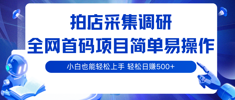 拍店采集调研，全网首码项目，简单易操作， 小白也能轻松上手，轻松日赚500+-DE云网创