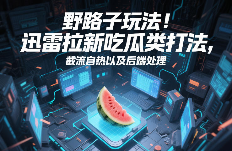 野路子玩法！迅雷拉新吃瓜类打法，截流自热以及后端处理-DE云网创