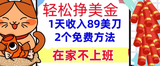 在家不上班，轻松挣美金， 1天收入89美刀，2个免费方法，懒人捡钱-DE云网创