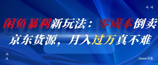 闲鱼暴利新玩法：零成本倒卖京东货源，月入过1W真不难-DE云网创