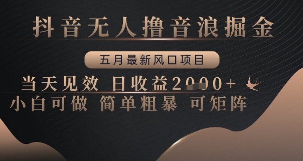 抖音无人撸音浪掘金，五月最新风口项目，当天见效，日收益多张，小白可做简单粗暴可矩阵【揭秘】-DE云网创