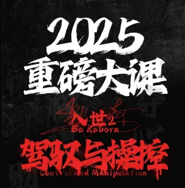 2025重磅大课，入世2，驾驭与控制-DE云网创