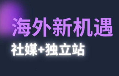 2025出海新机遇(社媒+独立站)，海外新机遇，实现独立站的高效运营与出海-DE云网创