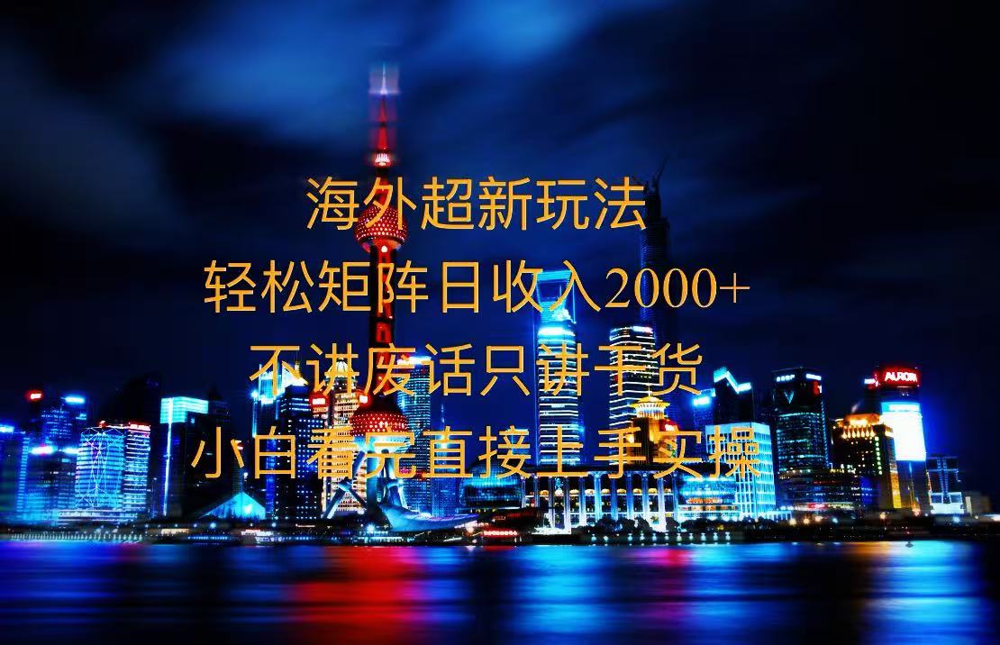 （13583期）2025全新海外暴力玩法，操作简单，小白轻松上手-DE云网创