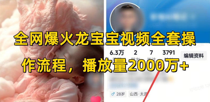 全网爆火龙宝宝视频全套操作流程，播放量2000万+-DE云网创