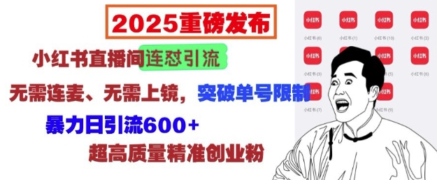 2025重磅发布：小红书直播间连怼引流，无需连麦、无需上镜，突破单号限制，暴力日引流600+-DE云网创