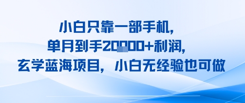 小白只靠一部手机，单月到手2W+利润，玄学蓝海项目，小白无经验也可做-DE云网创