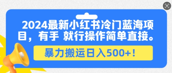 2024最新小红书冷门蓝海项目，有手就行操作简单直接，暴力搬运日入500+-DE云网创