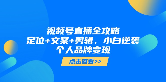 （14819期）视频号直播全攻略，定位+文案+剪辑，小白逆袭个人品牌变现-DE云网创