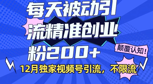 12月独家视频号引流每天被动引流精准创业粉200+不限流-DE云网创