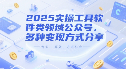 2025实操工具软件类领域公众号，多种变现方式分享-DE云网创