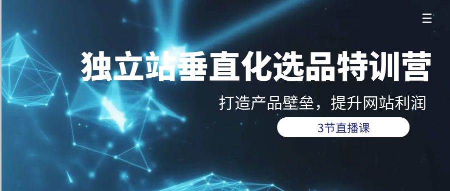 独立站-垂直化选品训练营，打造产品壁垒，提升网站利润（3节直播课）-DE云网创