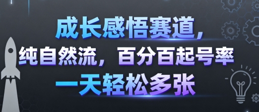 成长感悟赛道，纯自然流，百分百起号率 一天轻松多张-DE云网创