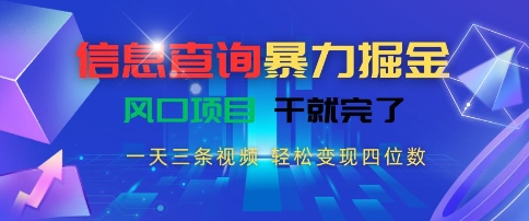 信息查询暴力掘金，一天三条视频，轻松变现四位数，风口项目干就完了【揭秘】-DE云网创