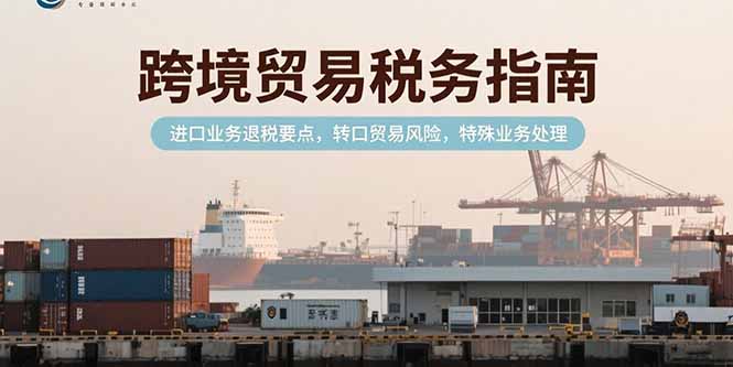 （15381期）跨境贸易税务指南，进口业务退税要点，转口贸易风险，特殊业务处理-DE云网创