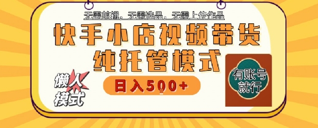 快手小店托管代运营，无需剪辑，无需选品，无需上传作品，全程无需操作，轻松月入5k+【揭秘】-DE云网创