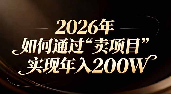 站在2026年的十字路口：一个普通人如何通过卖项目实现年入200万-DE云网创