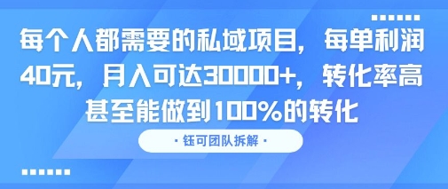 每个人都需要的私域项目，每单利润40米，月入可达3W+，转化率高 甚至能做到100%的转化-DE云网创