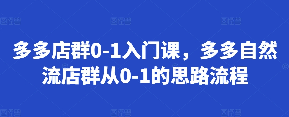 多多店群0-1入门课，多多自然流店群从0-1的思路流程-DE云网创